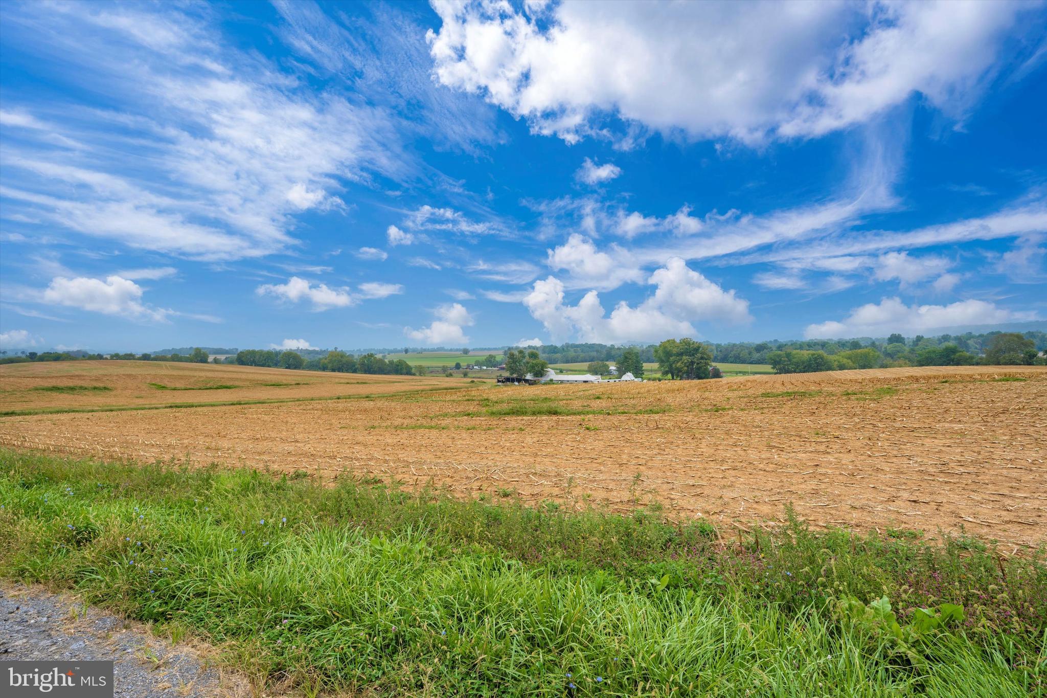 NONE AVAILABLE - Farm