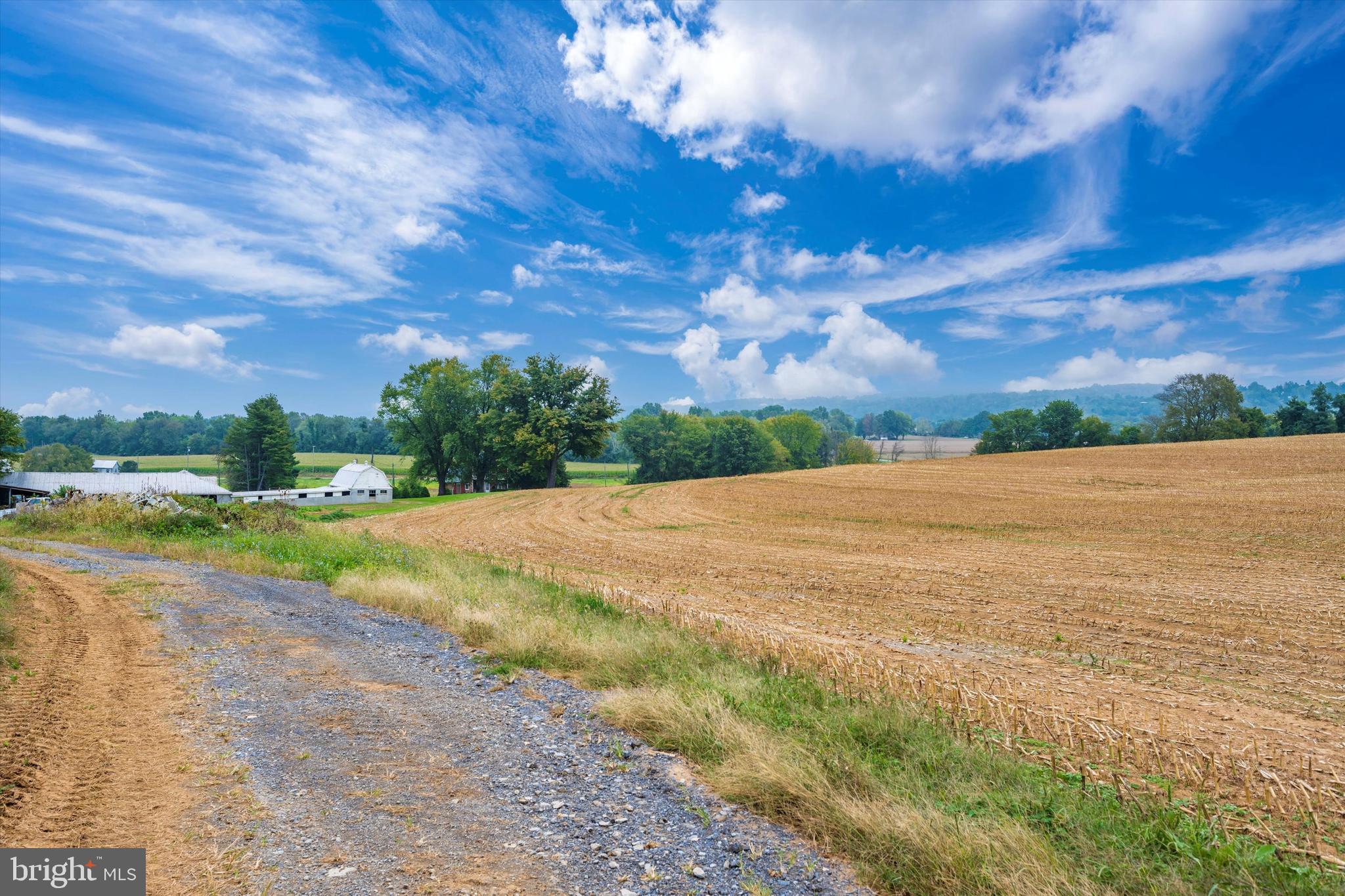 NONE AVAILABLE - Farm