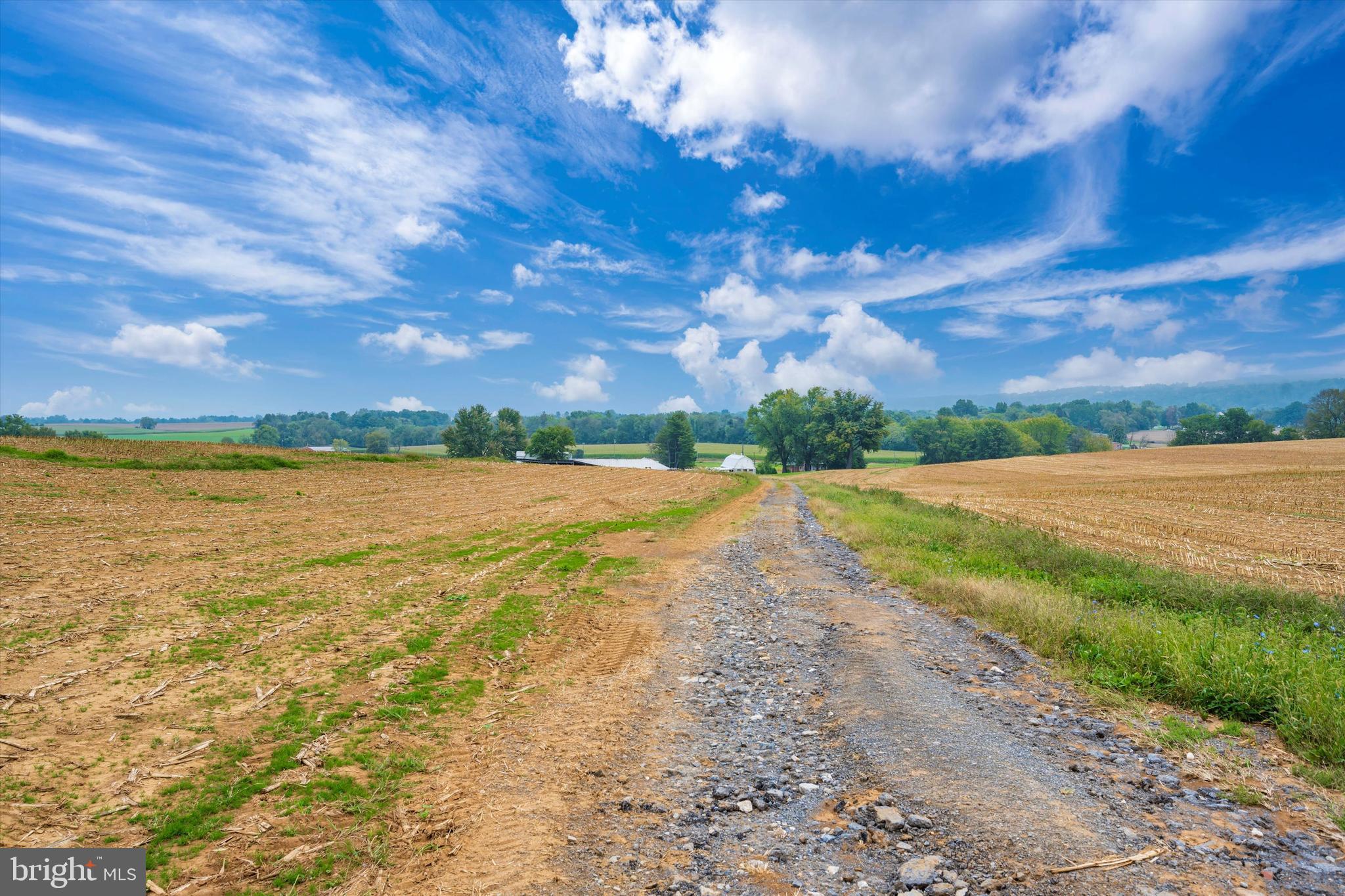 NONE AVAILABLE - Farm