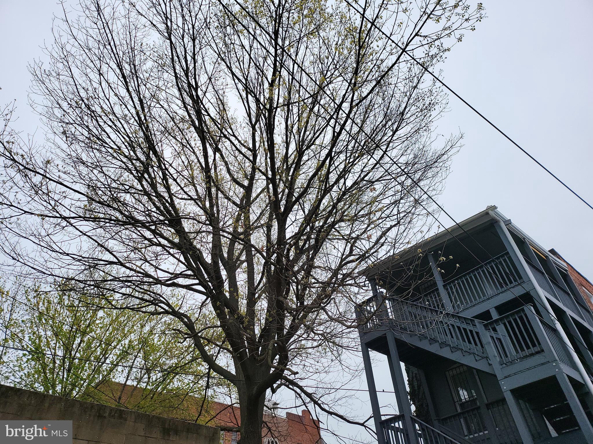 RESERVOIR HILL - Residential Lease