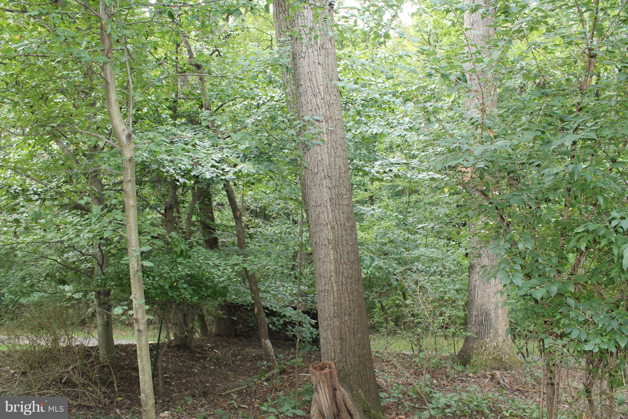 SILVER SPRING CNTRY CLUB - Residential