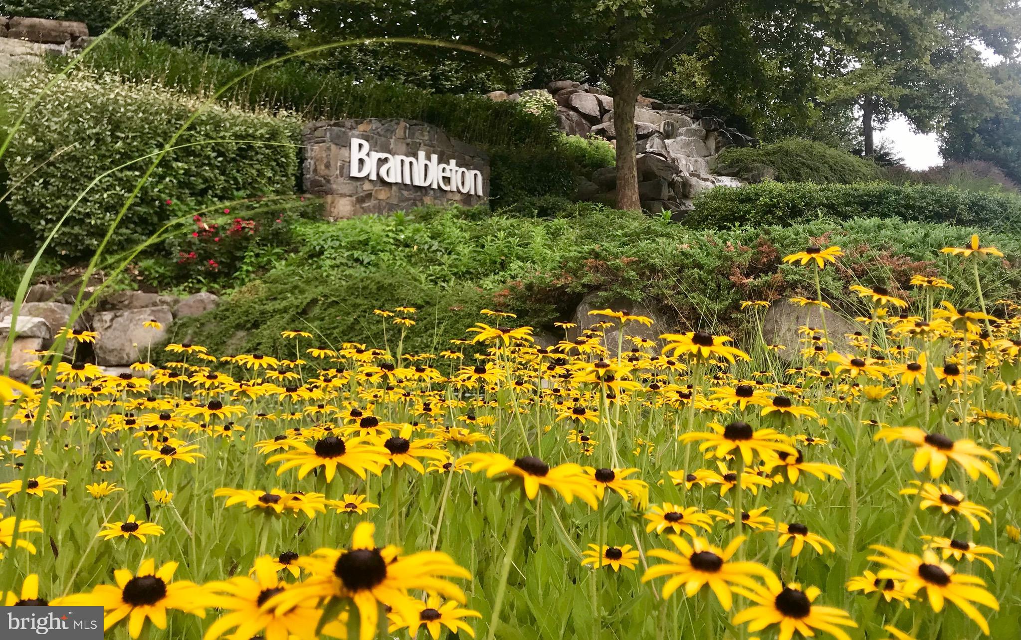 DOWNTOWN BRAMBLETON - Residential