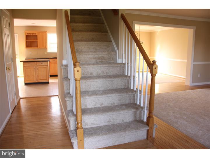 SKIPPACK - Residential