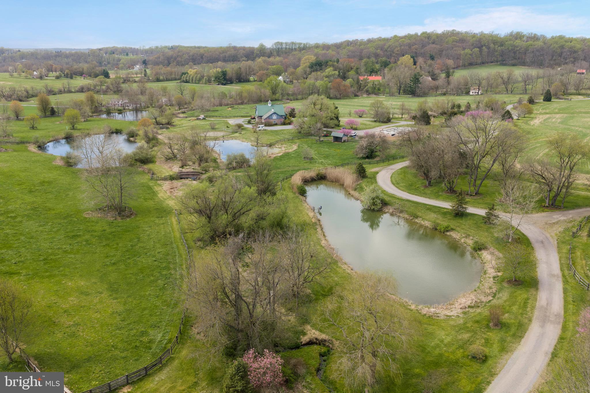 CHESHIRE HUNT - Farm