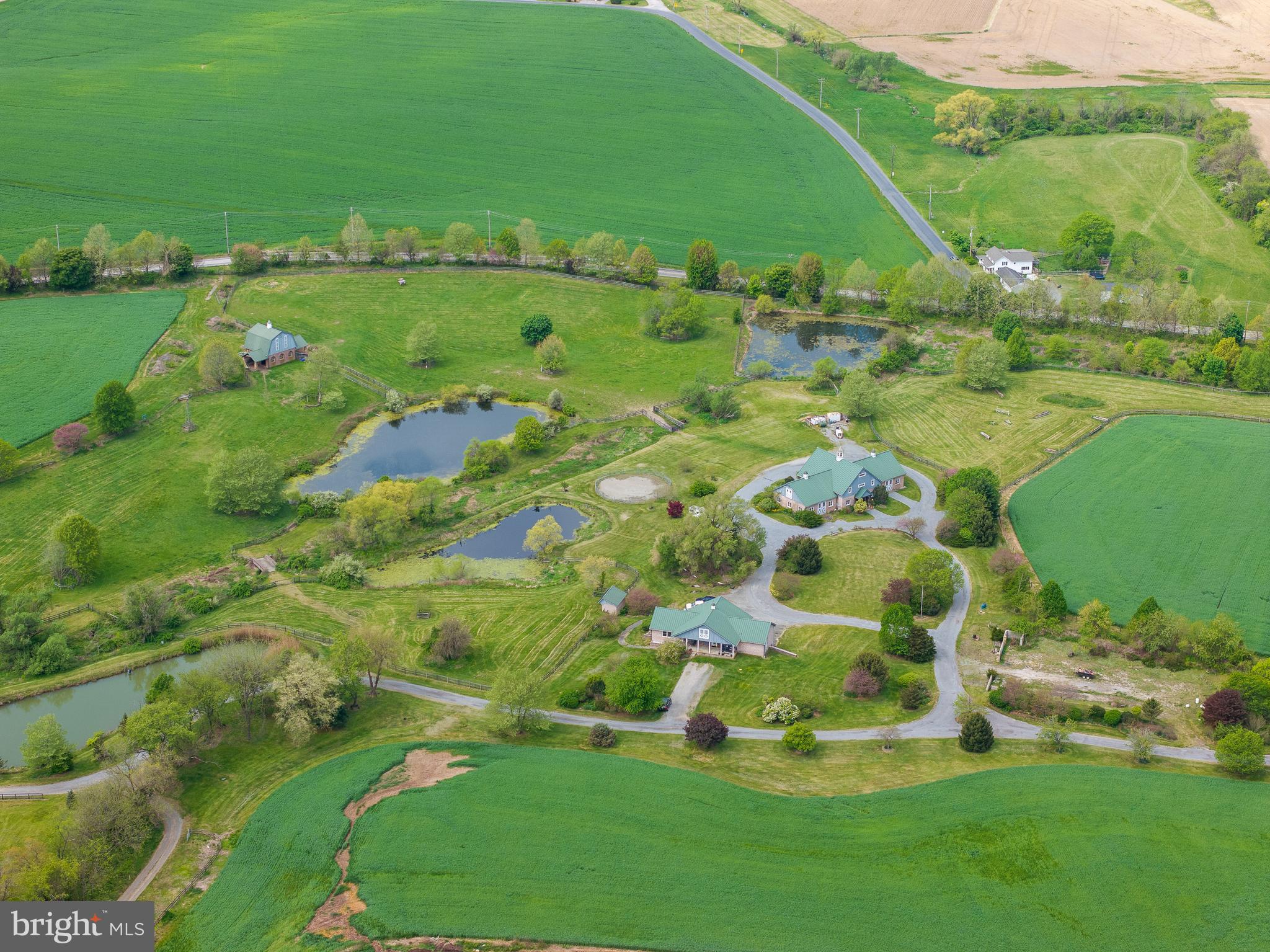 CHESHIRE HUNT - Farm