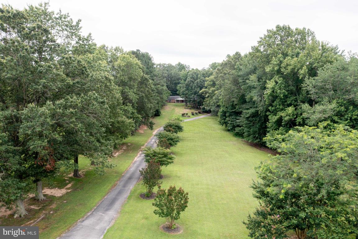 10664 DEACON ROAD