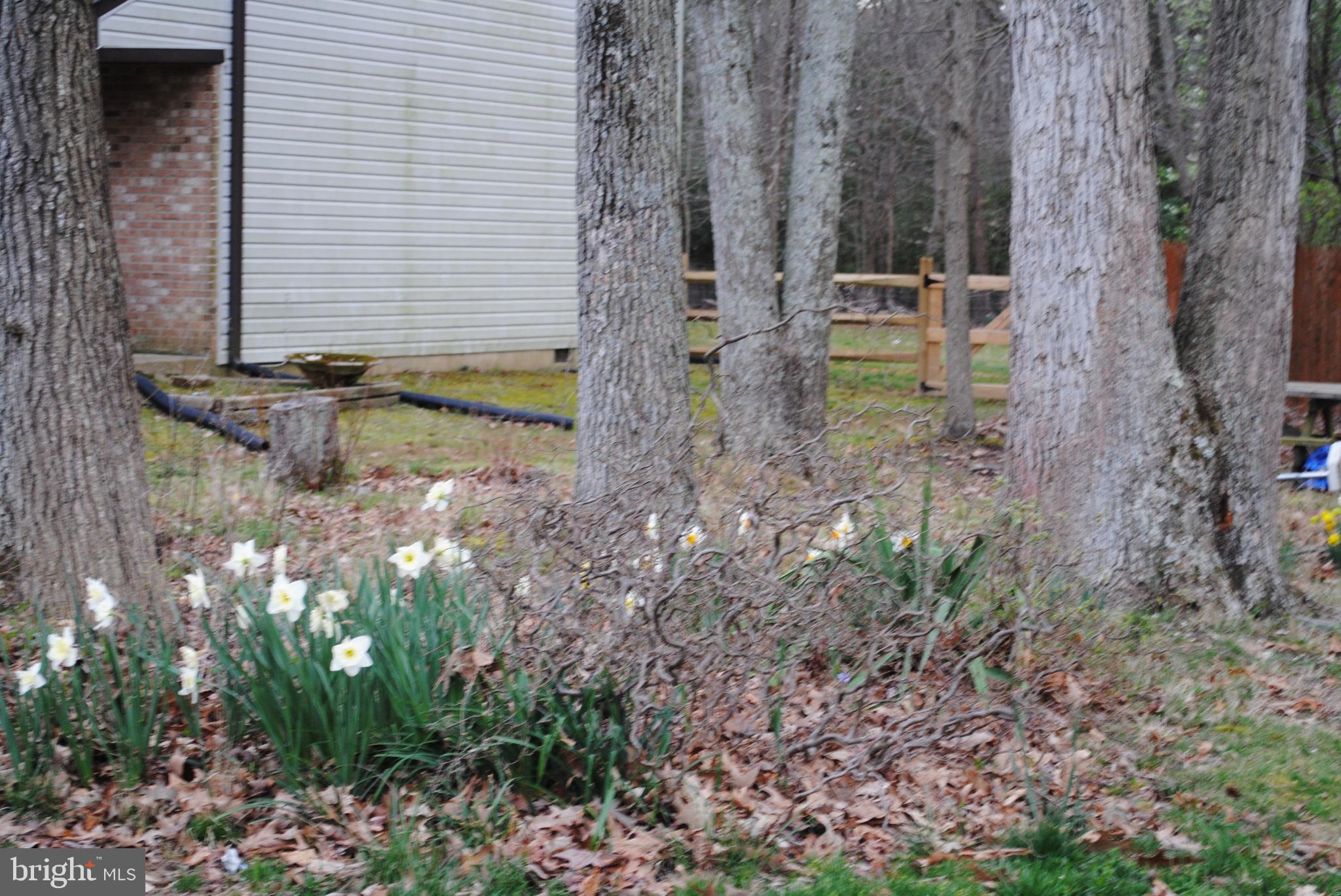 SPRING VALLEY SUB - Residential