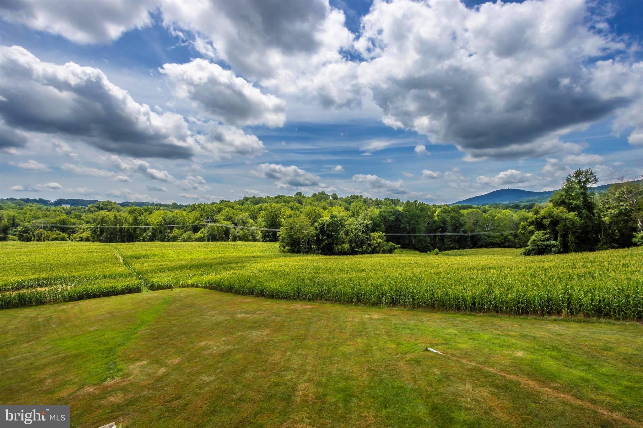 NONE AVAILABLE - Farm