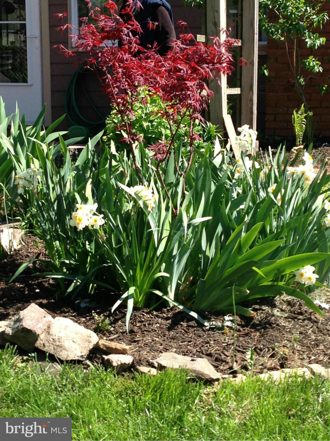 UNIONTOWN - Residential