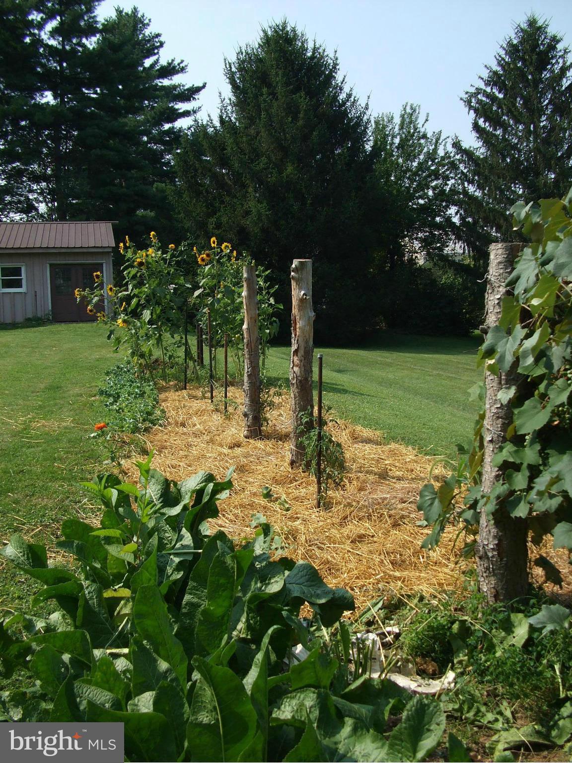 UNIONTOWN - Residential