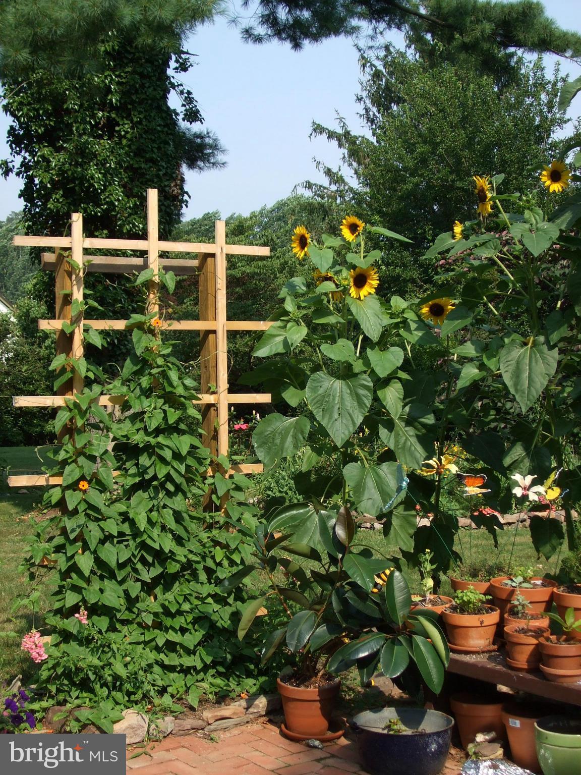 UNIONTOWN - Residential