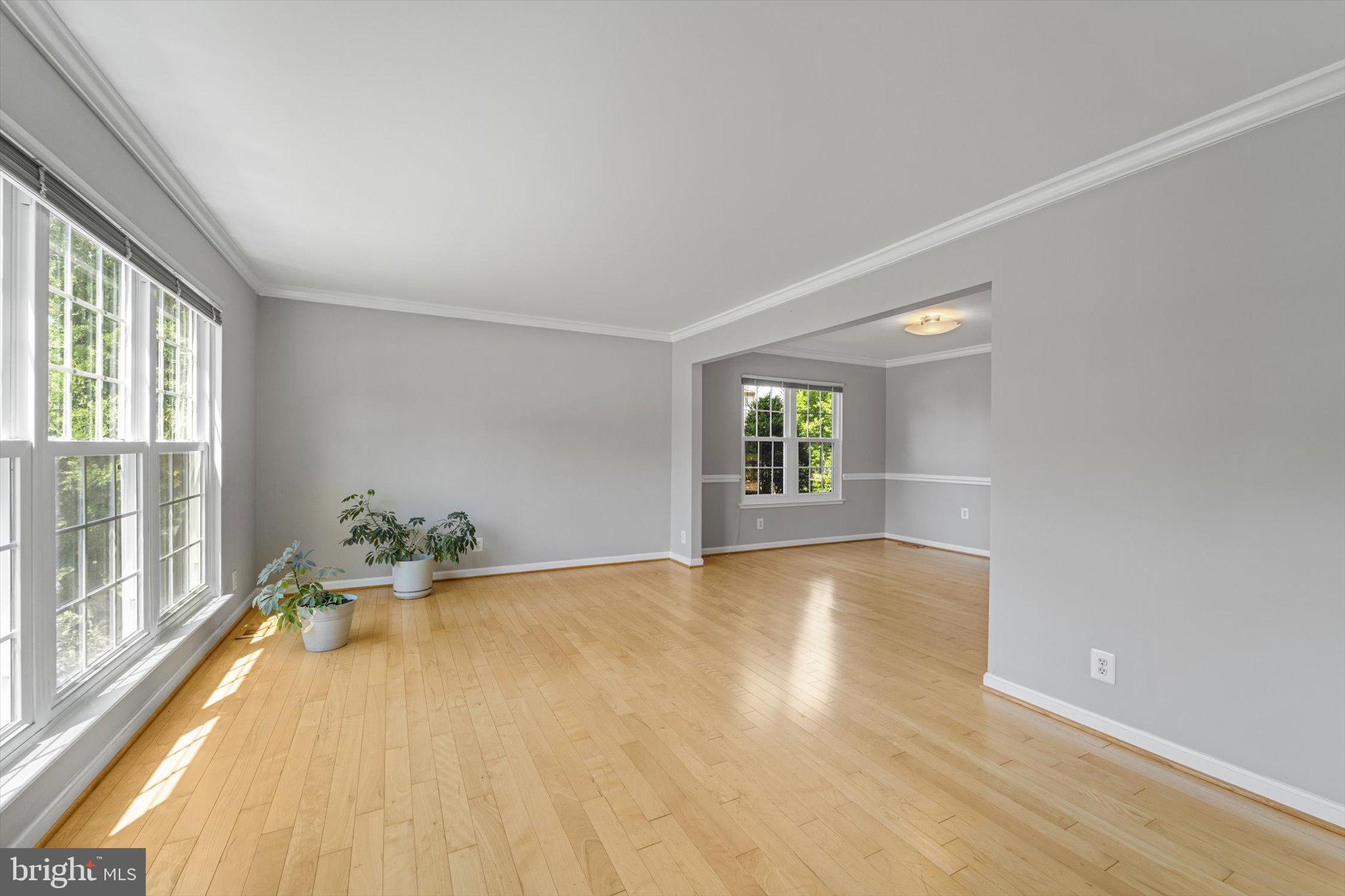 LITTLE ROCKY RUN - Residential