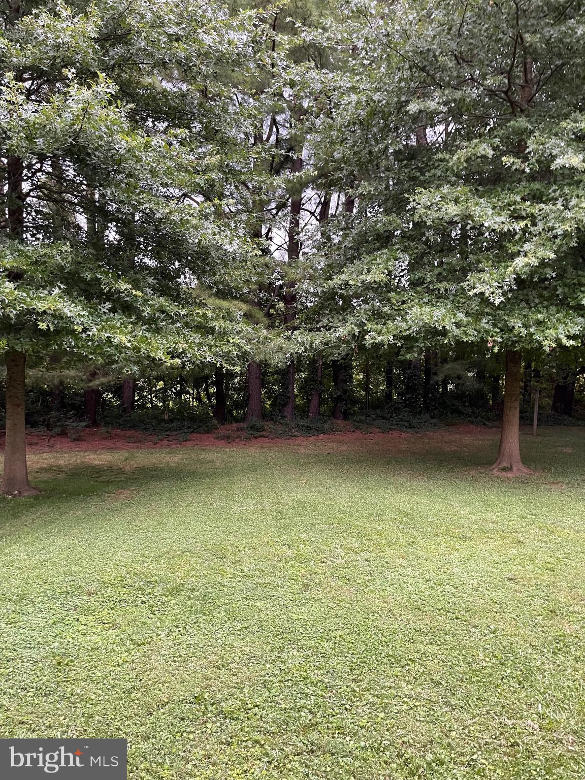 SPRING MEADOW - Residential