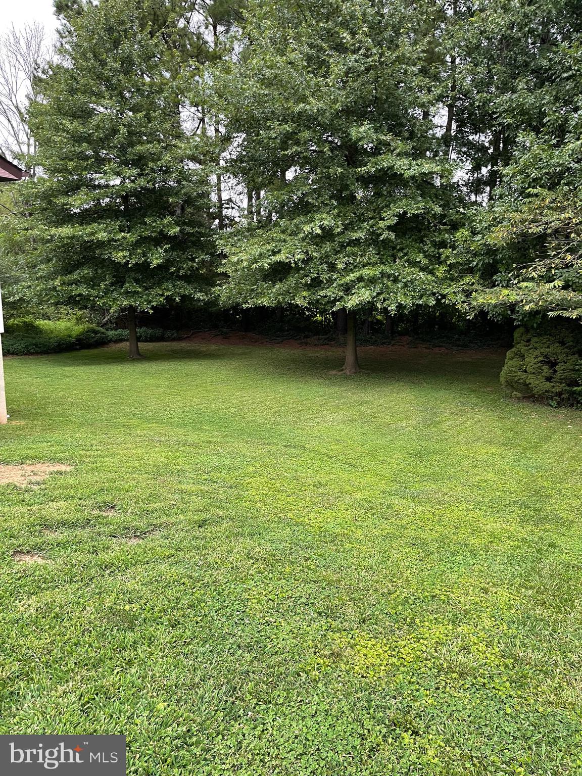 SPRING MEADOW - Residential