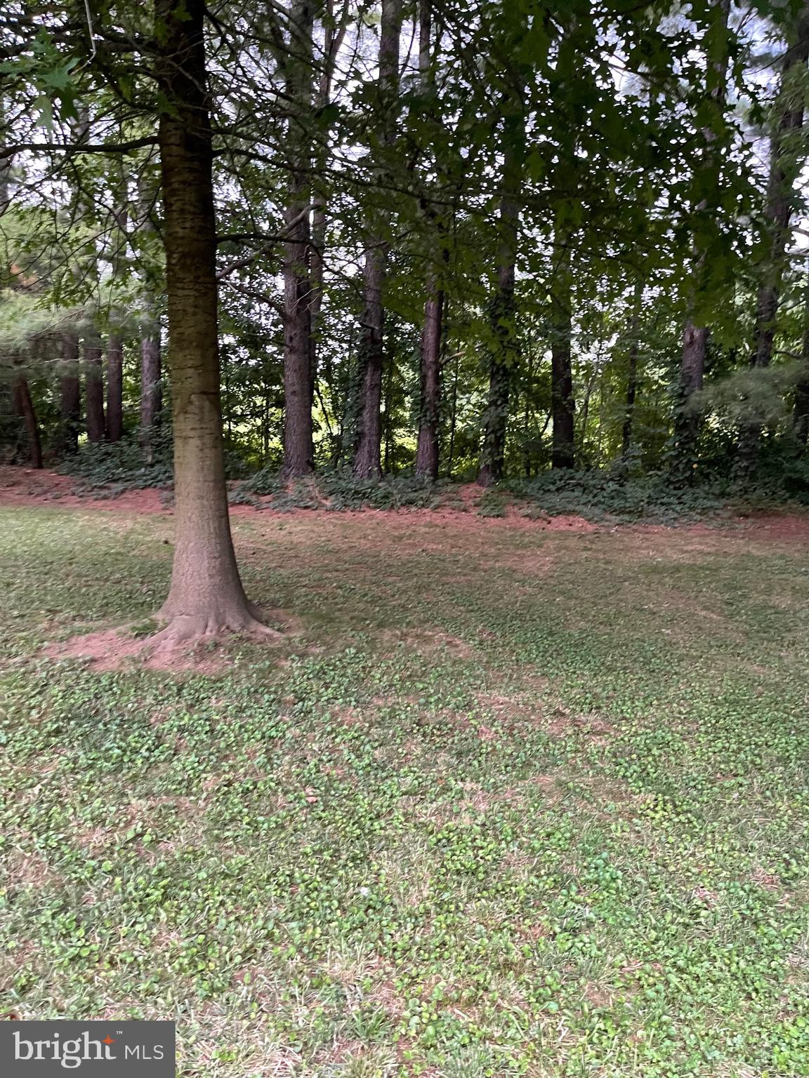 SPRING MEADOW - Residential