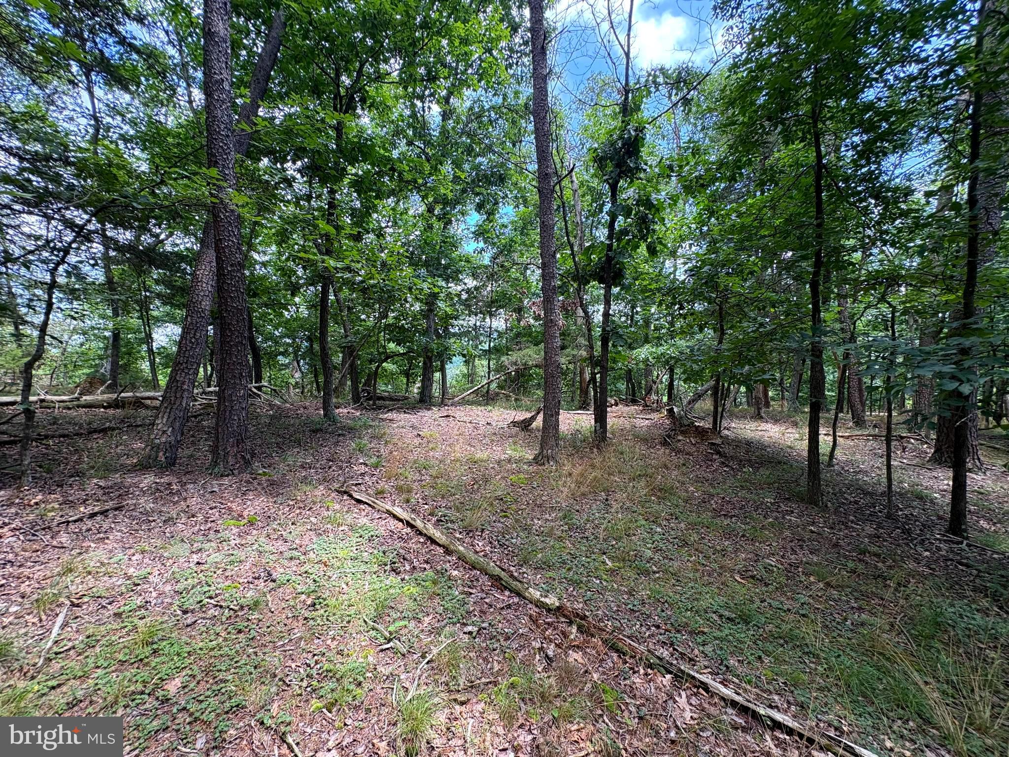 7313 LITTLE CACAPON ROAD