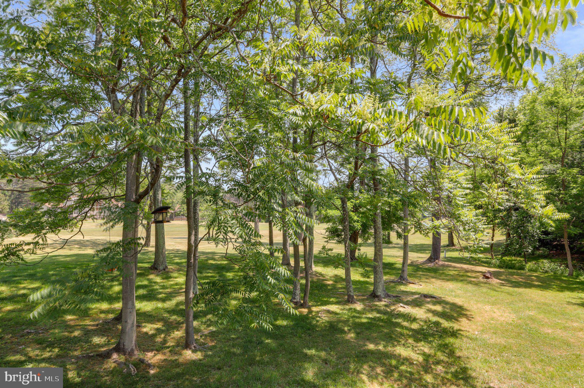 THE WOODS - Residential