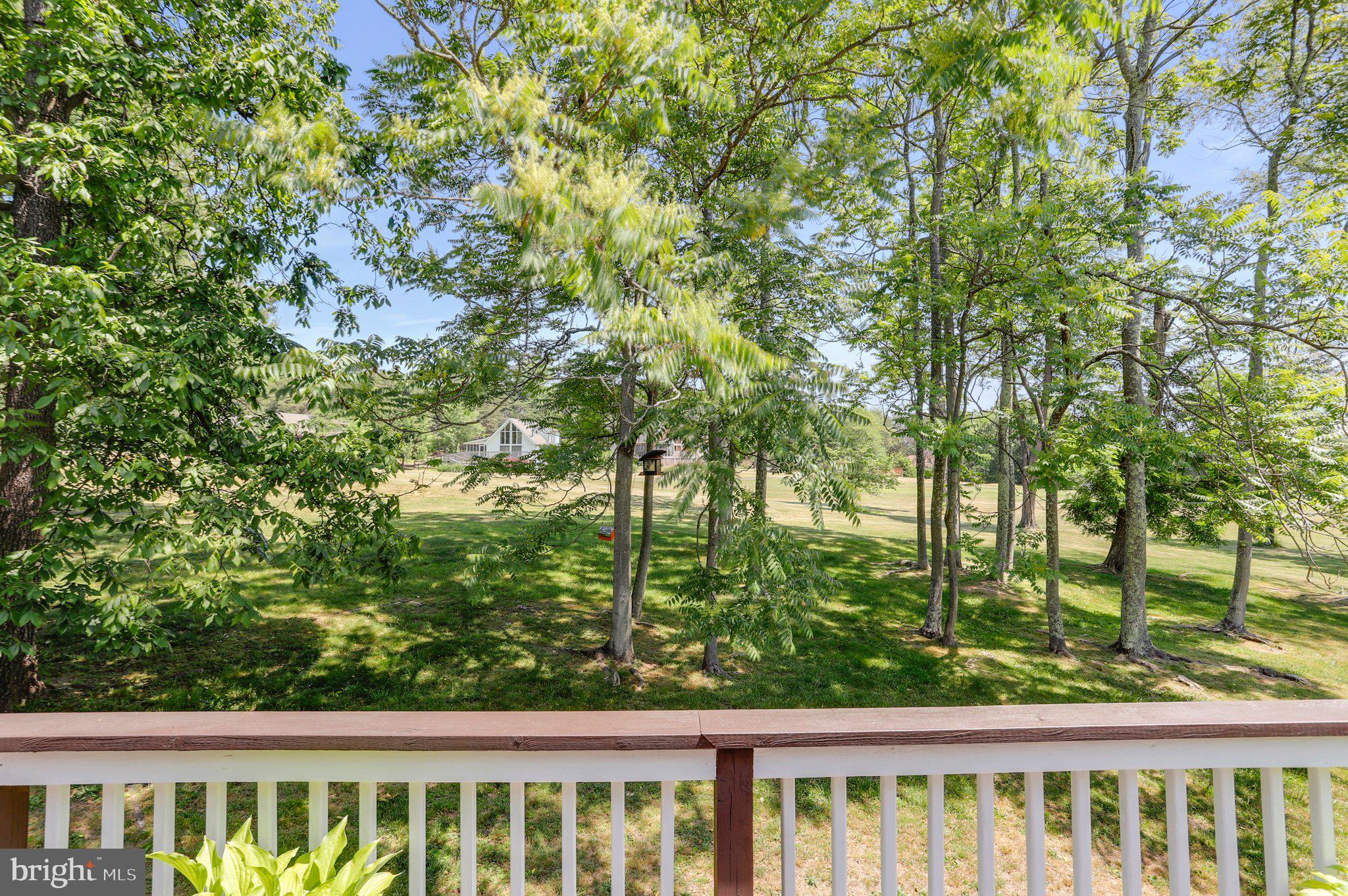 THE WOODS - Residential