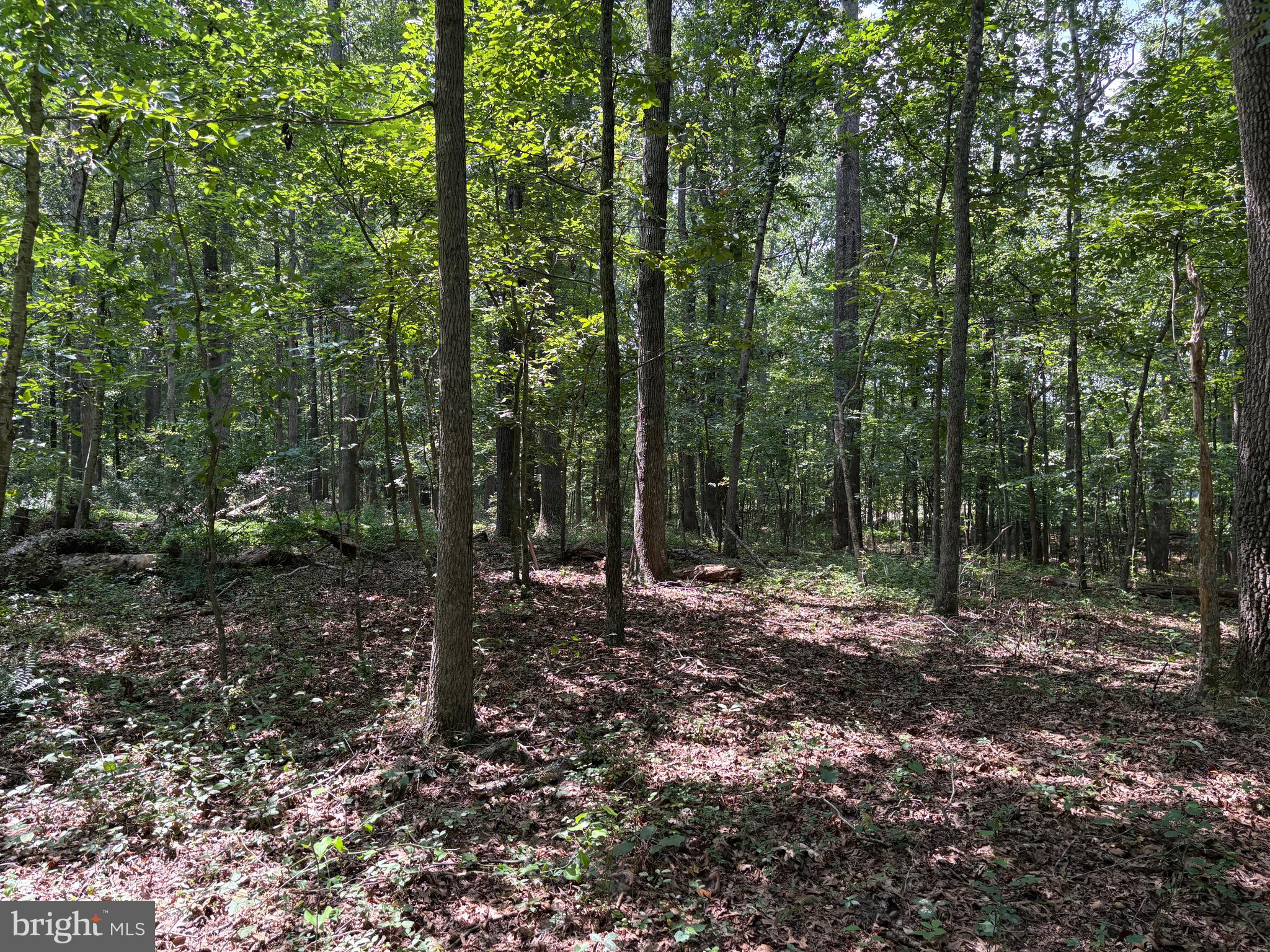 0 WEAVER ROAD