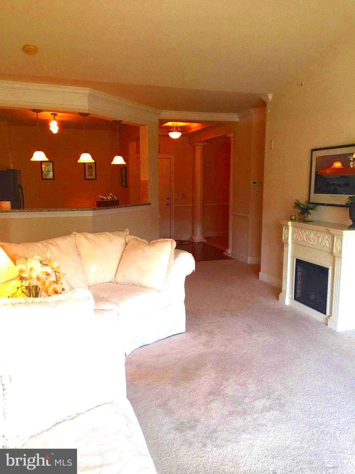 THE GREENBRIER CONDO - Residential