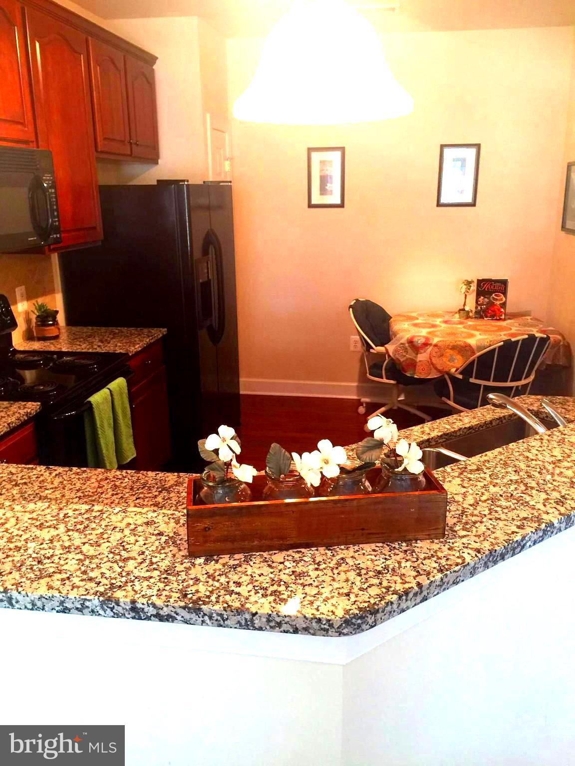 THE GREENBRIER CONDO - Residential