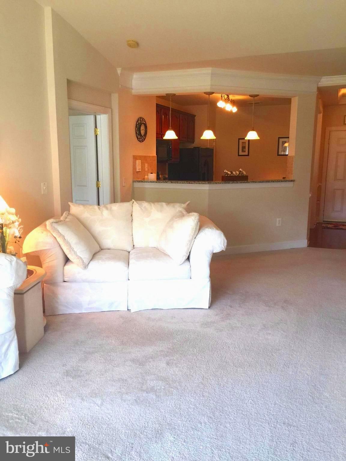 THE GREENBRIER CONDO - Residential