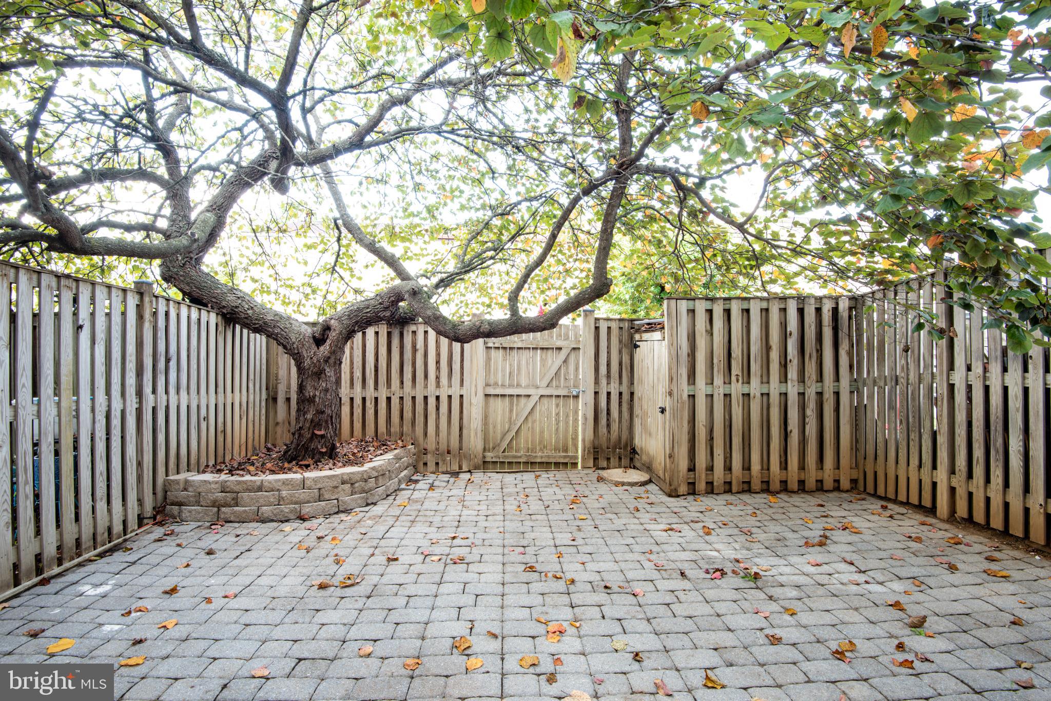 WHITFIELD GREEN - Residential Lease