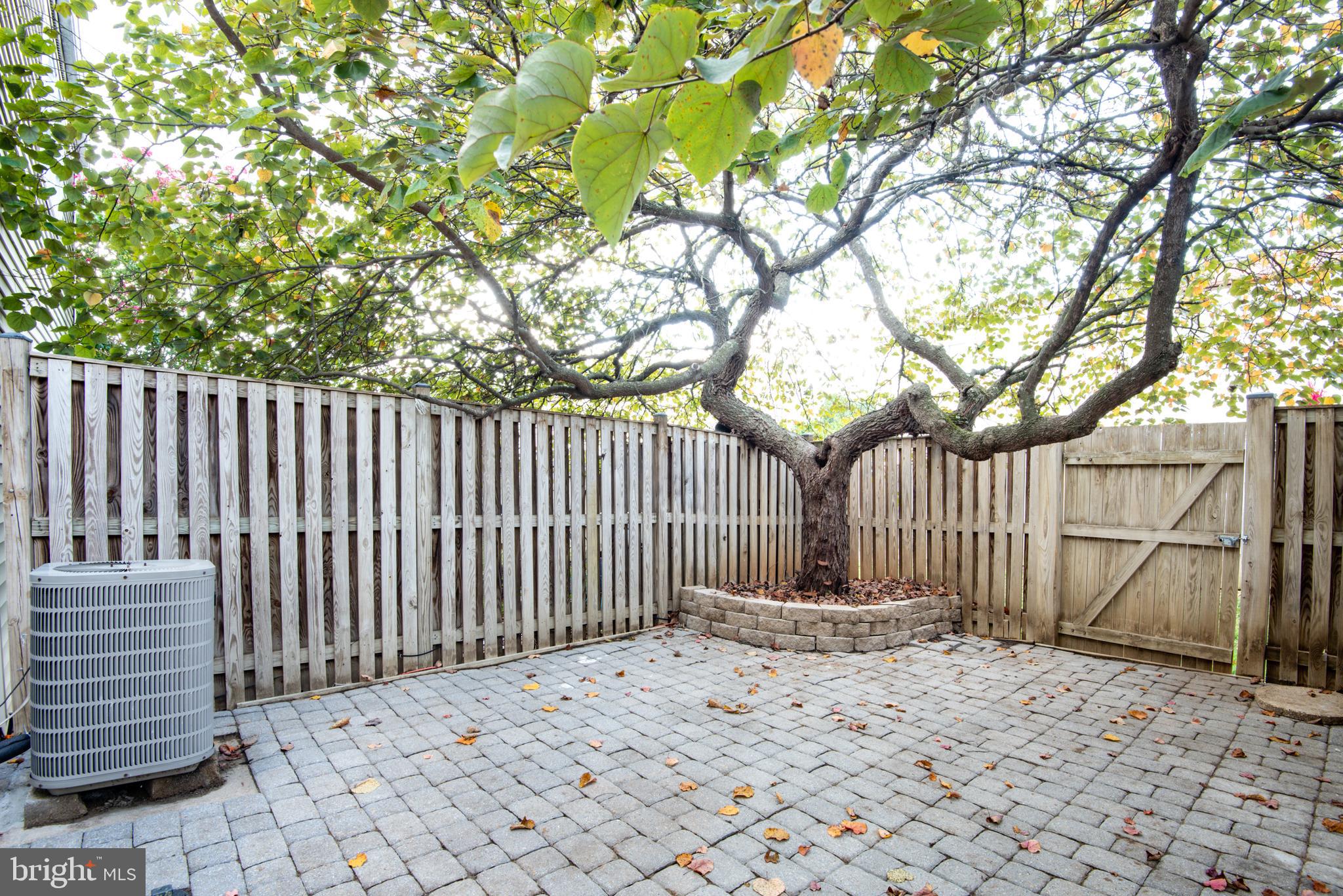 WHITFIELD GREEN - Residential Lease