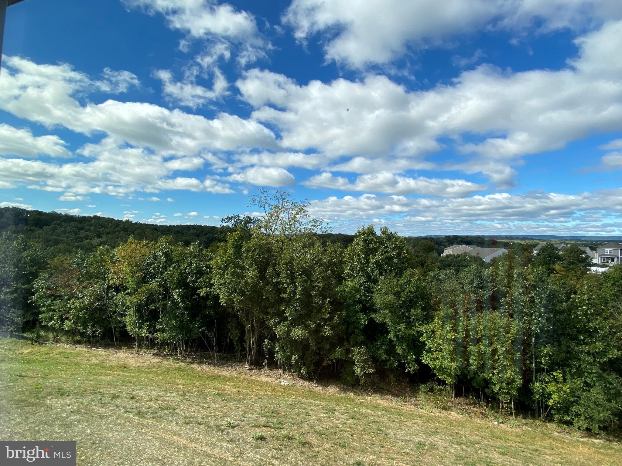 MORNING DOVE ESTATES - Residential