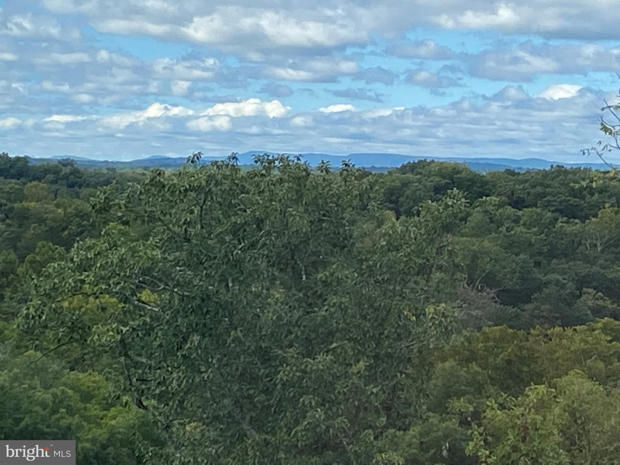 MORNING DOVE ESTATES - Residential