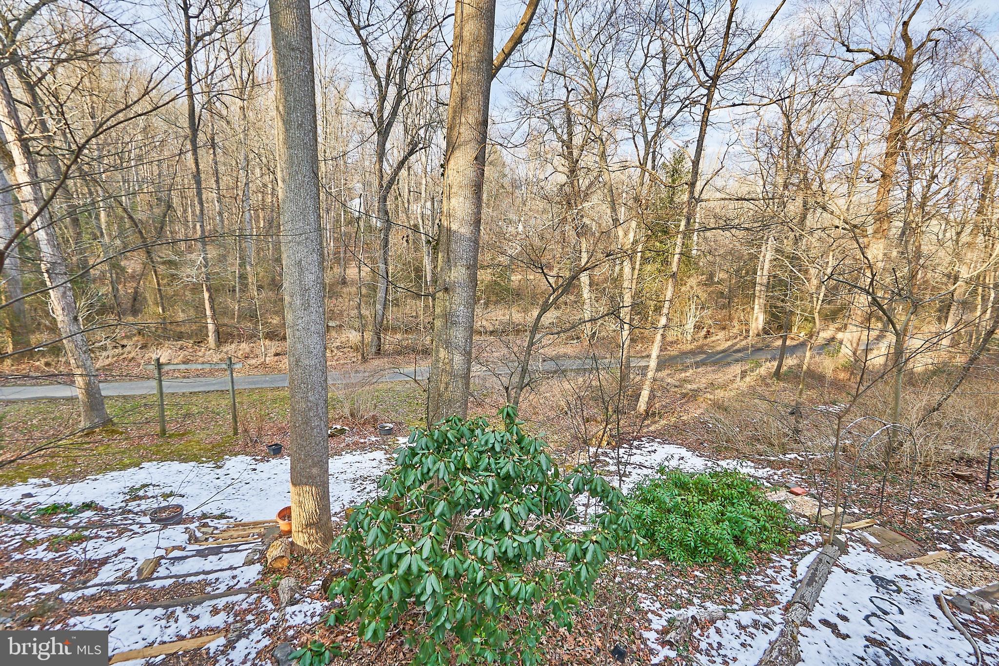 RESTON - Residential Lease