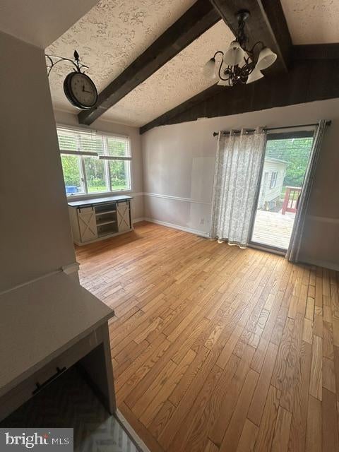 442 BUTTONWOOD AVENUE DOWNSTAIRS DOWNSTAIRS