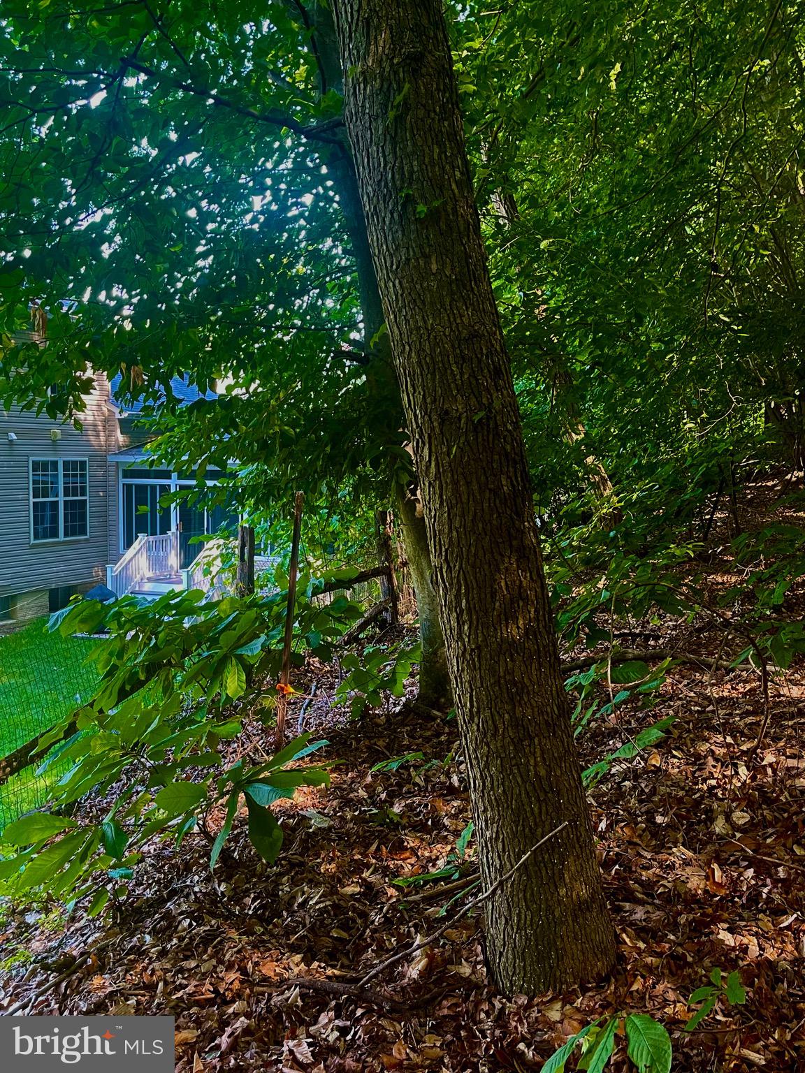 TANTALLON ON THE POTOMAC - Residential