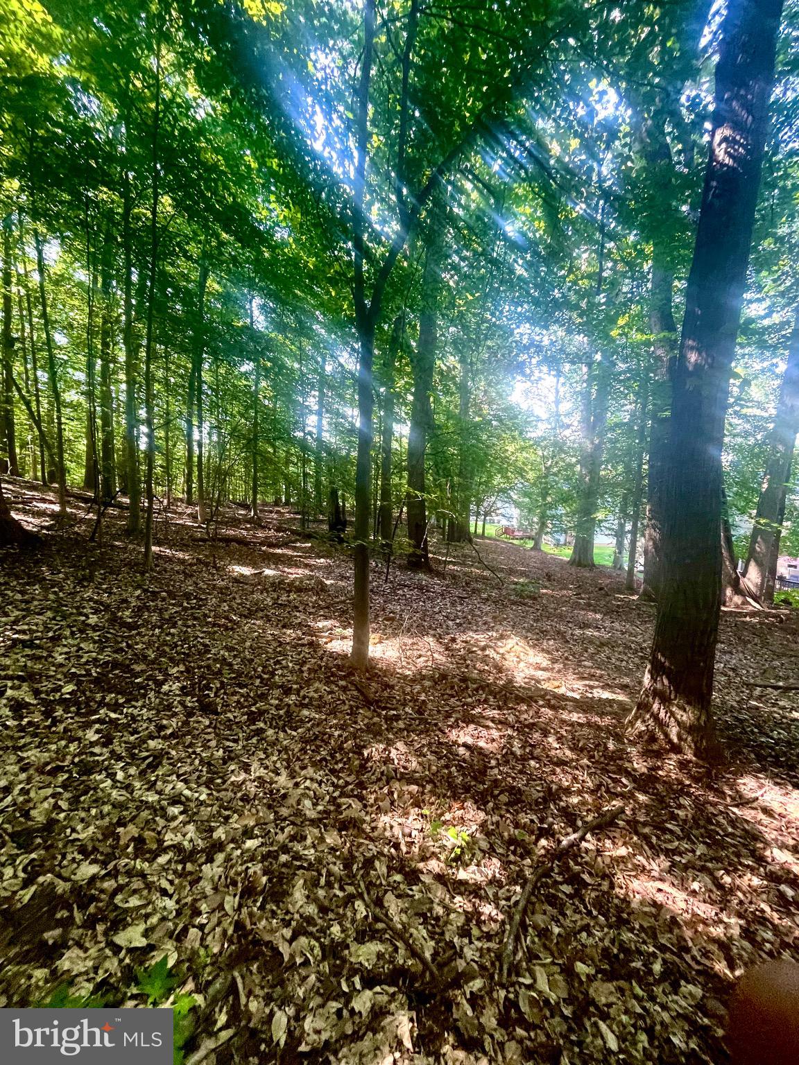 TANTALLON ON THE POTOMAC - Residential