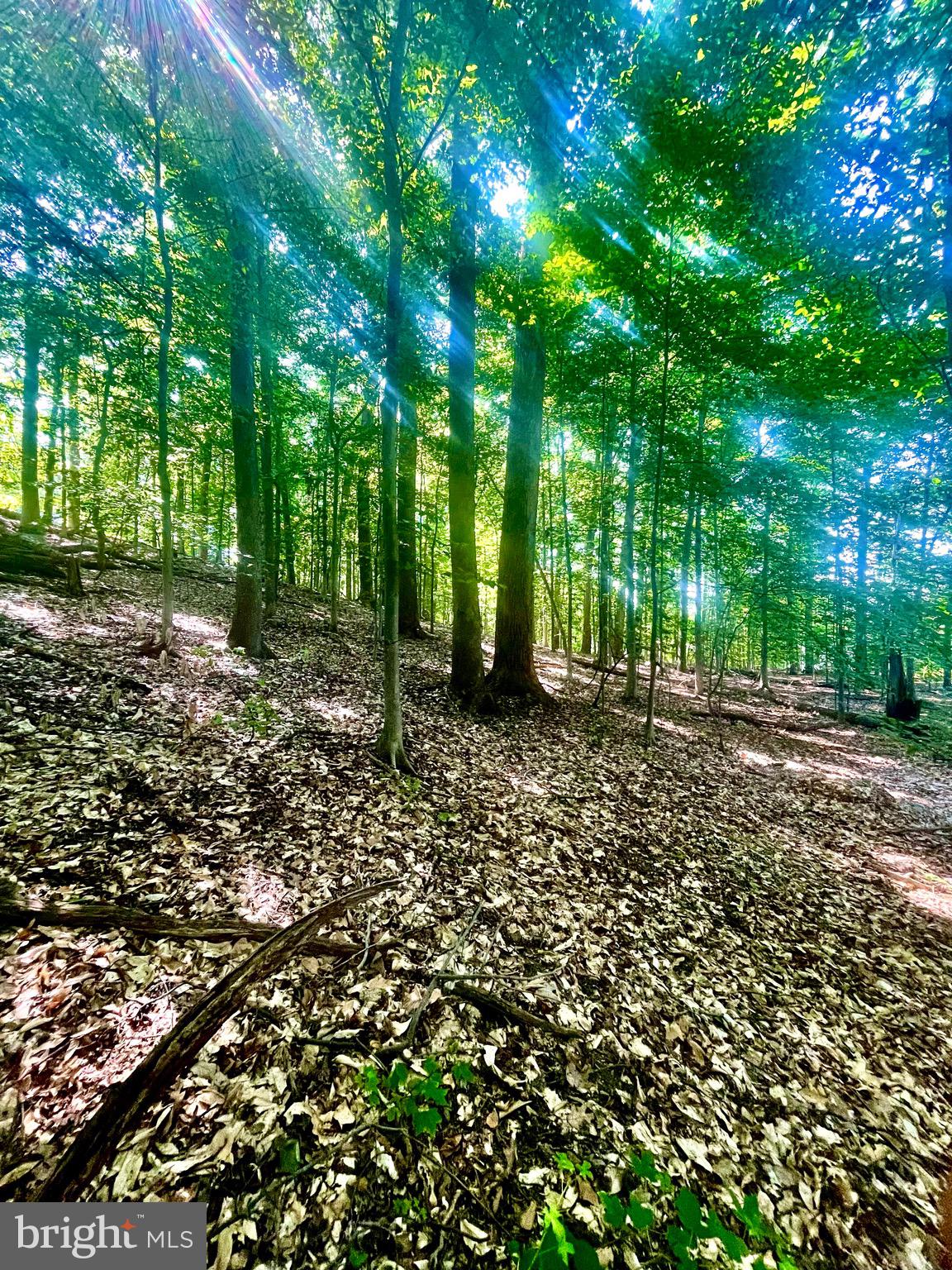 TANTALLON ON THE POTOMAC - Residential