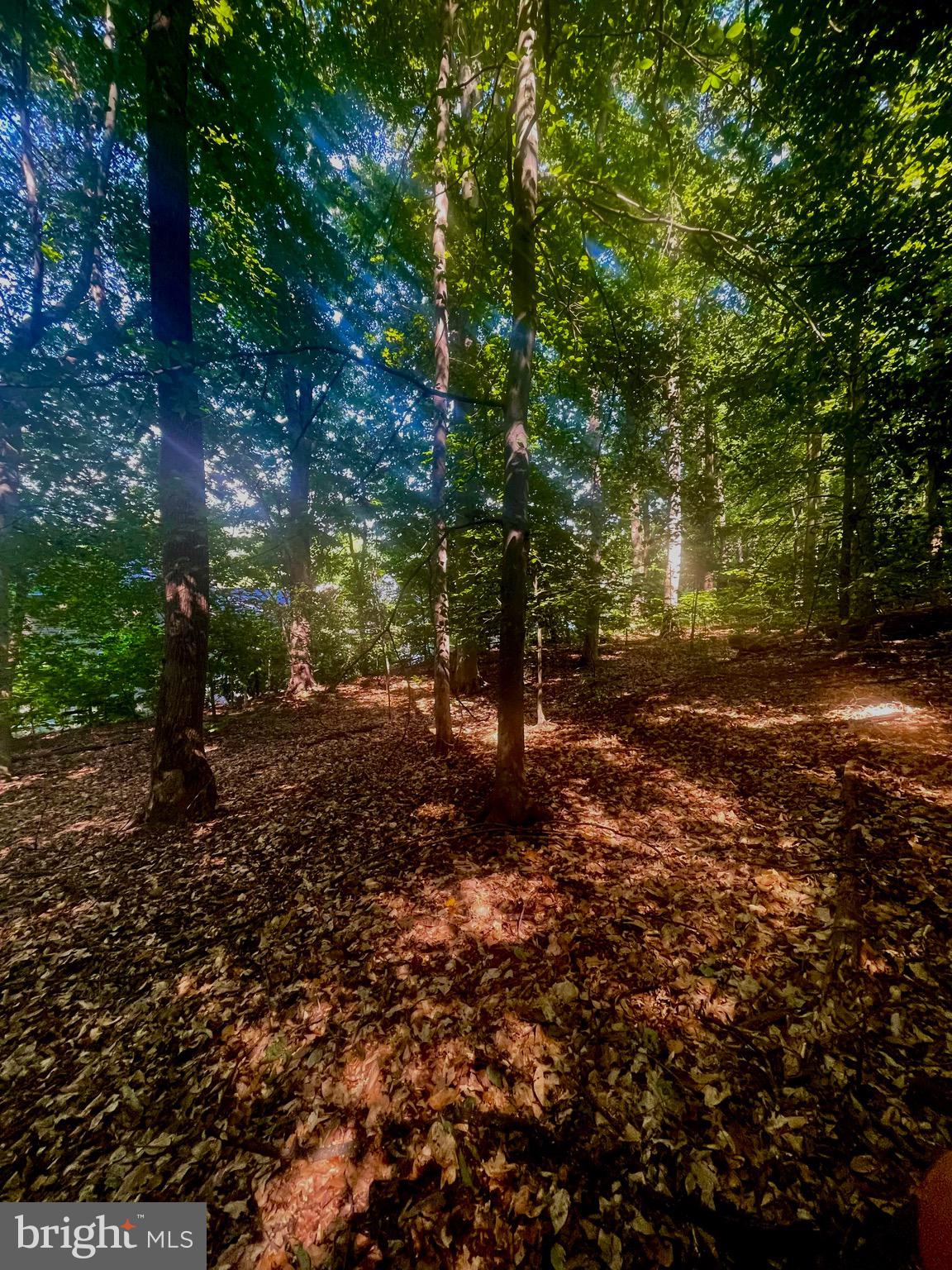 TANTALLON ON THE POTOMAC - Residential