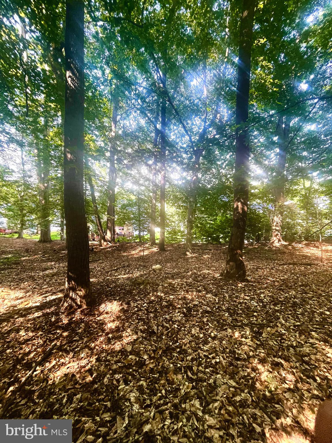 TANTALLON ON THE POTOMAC - Residential