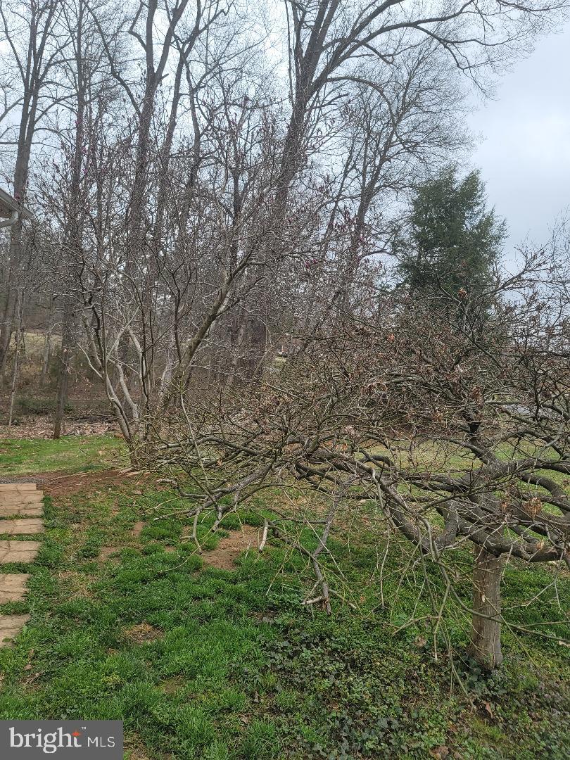 KIRTLEY TRAIL - Residential