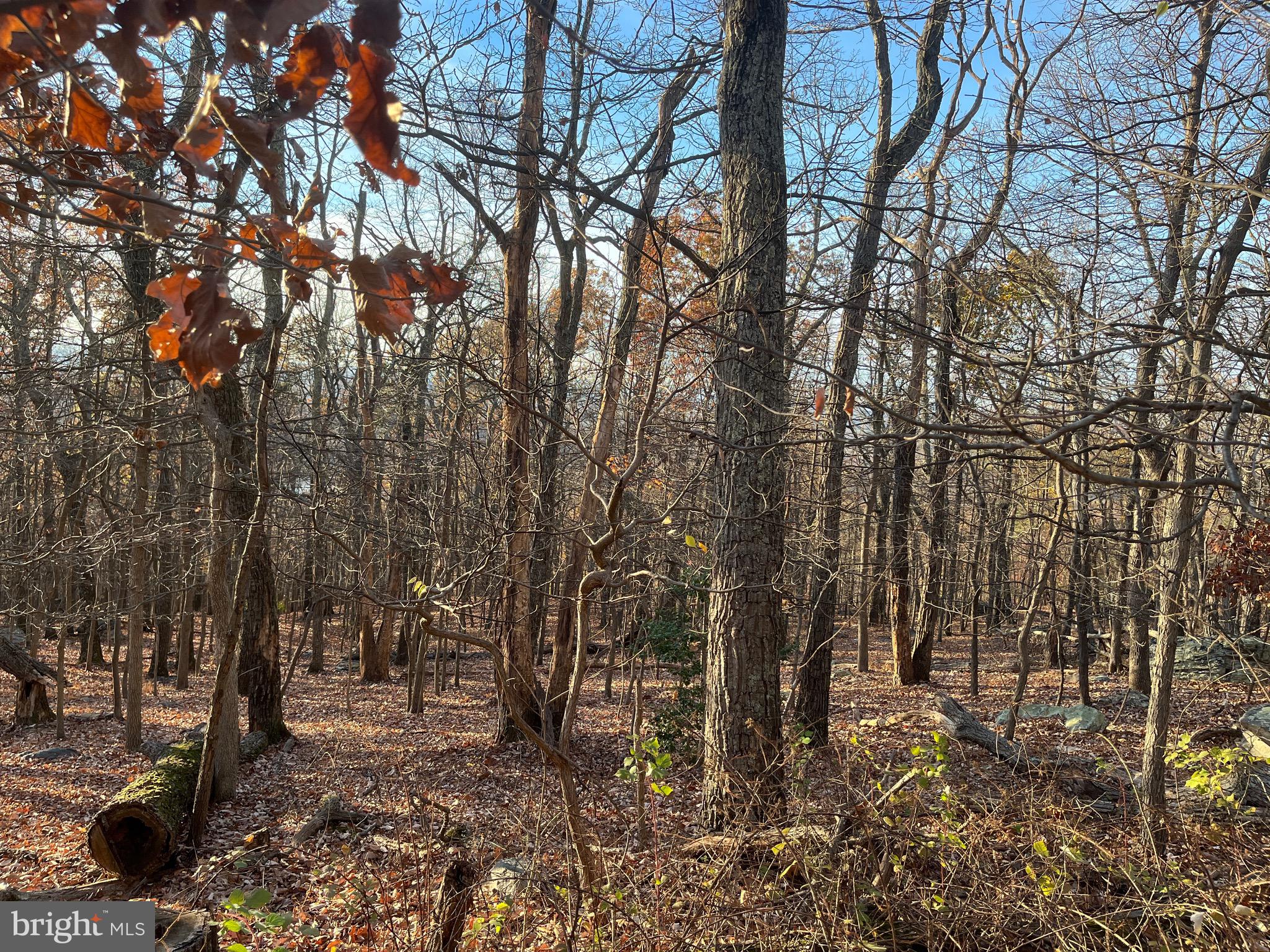 Great building lots high in the mountain offering great views waiting for your new home. These lots are wooded and almost an acre in size. Take a Look Today!!