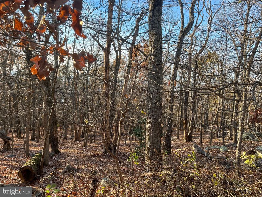 Great  building lots high in the mountain offering great views waiting for your new home.  These lots are wooded and almost an acre in size. Take a Look Today!!