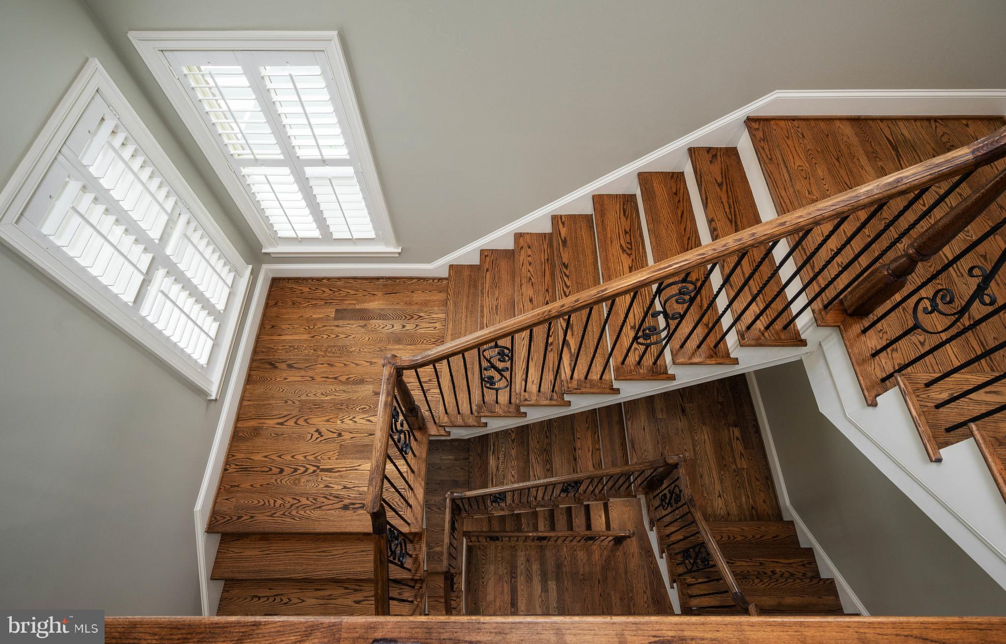 AMELIA SQUARE - Residential