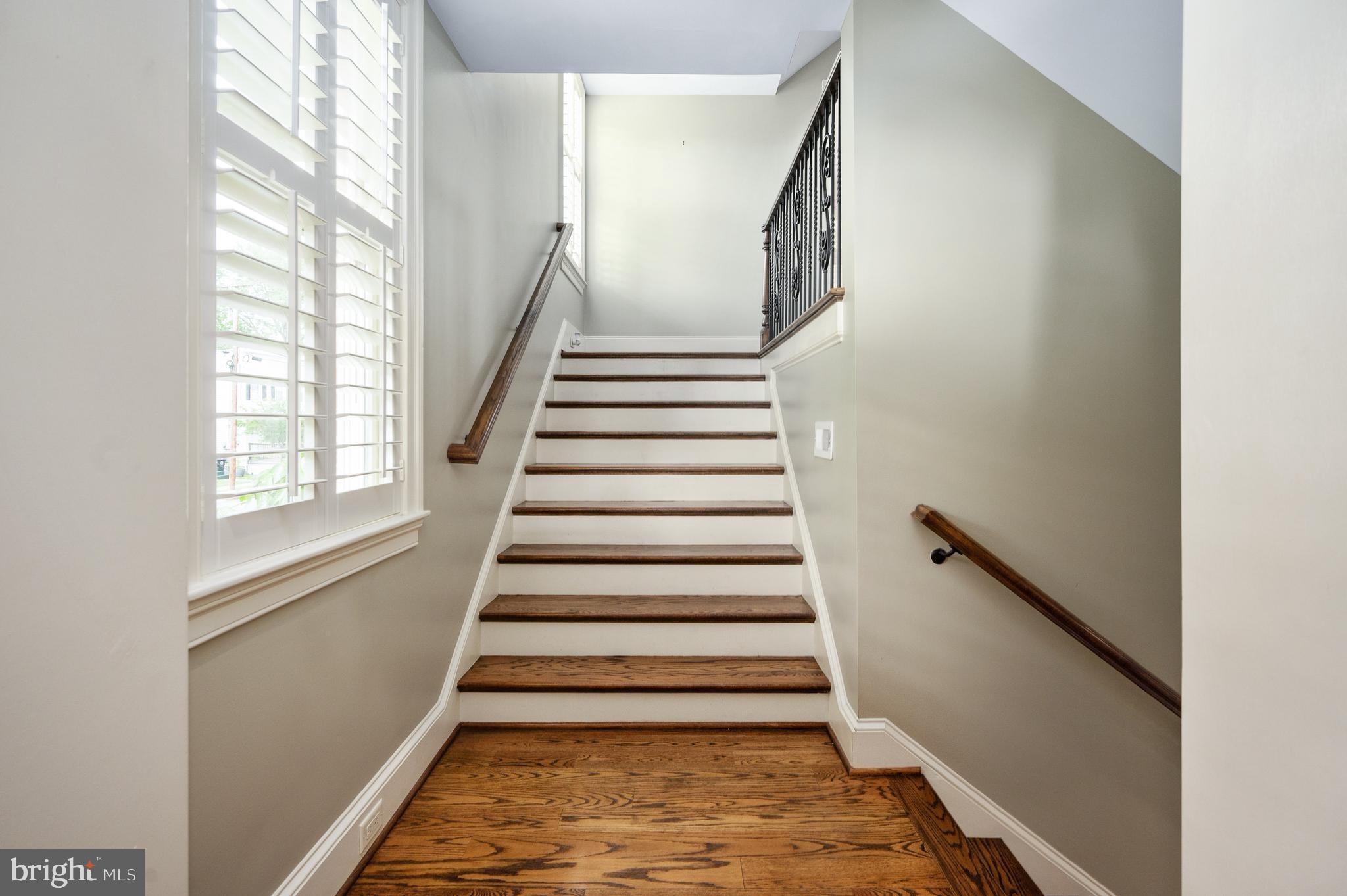 AMELIA SQUARE - Residential