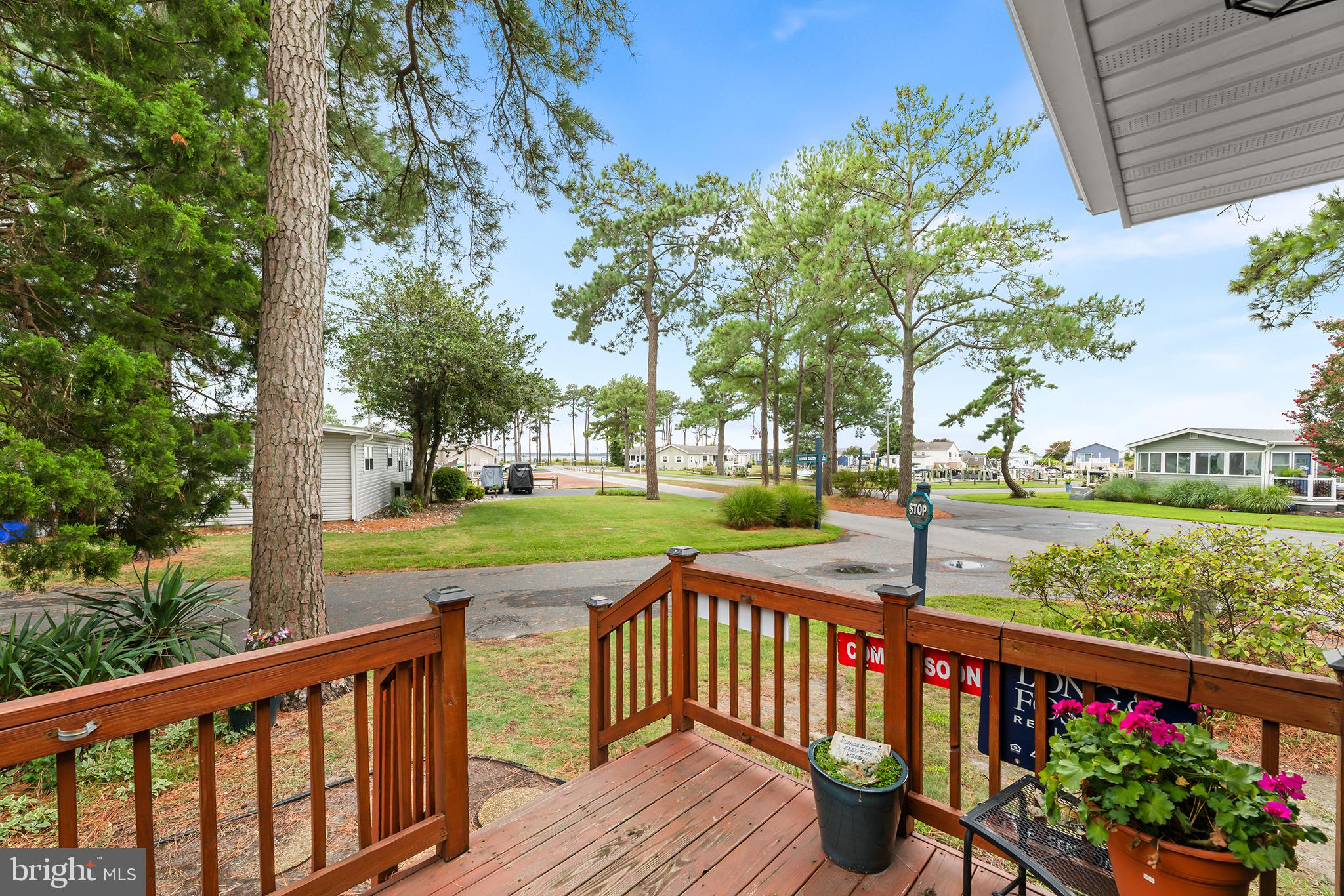 26876 DIVER DUCK DRIVE