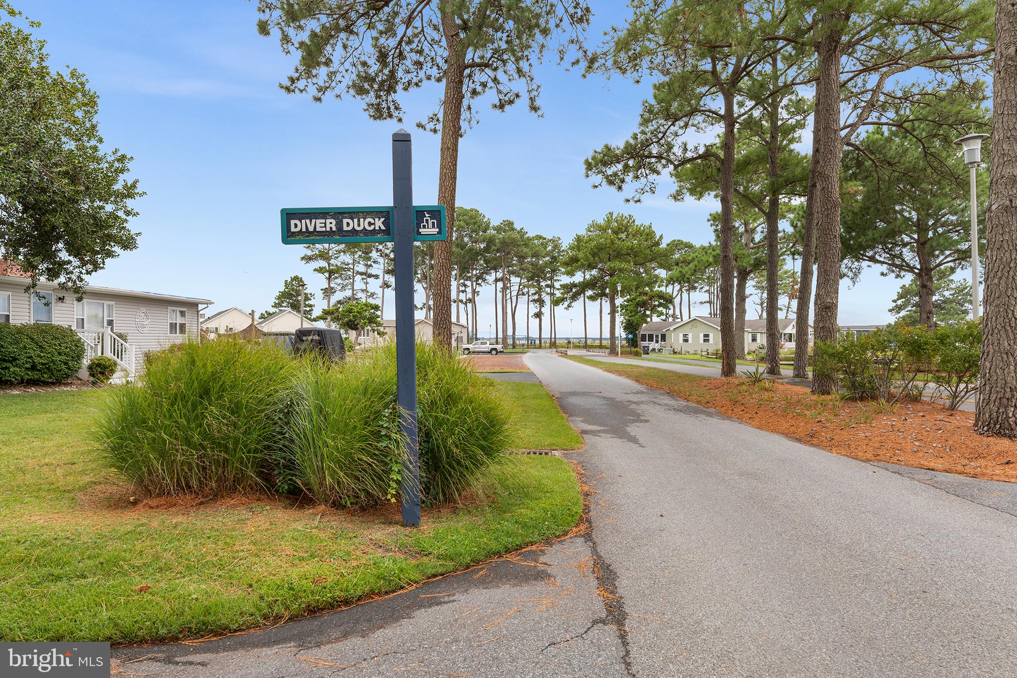26876 DIVER DUCK DRIVE