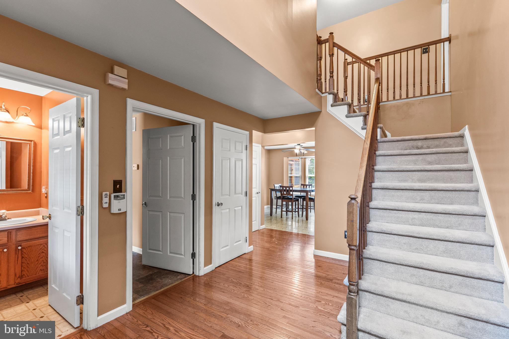 248 LANIE COURT