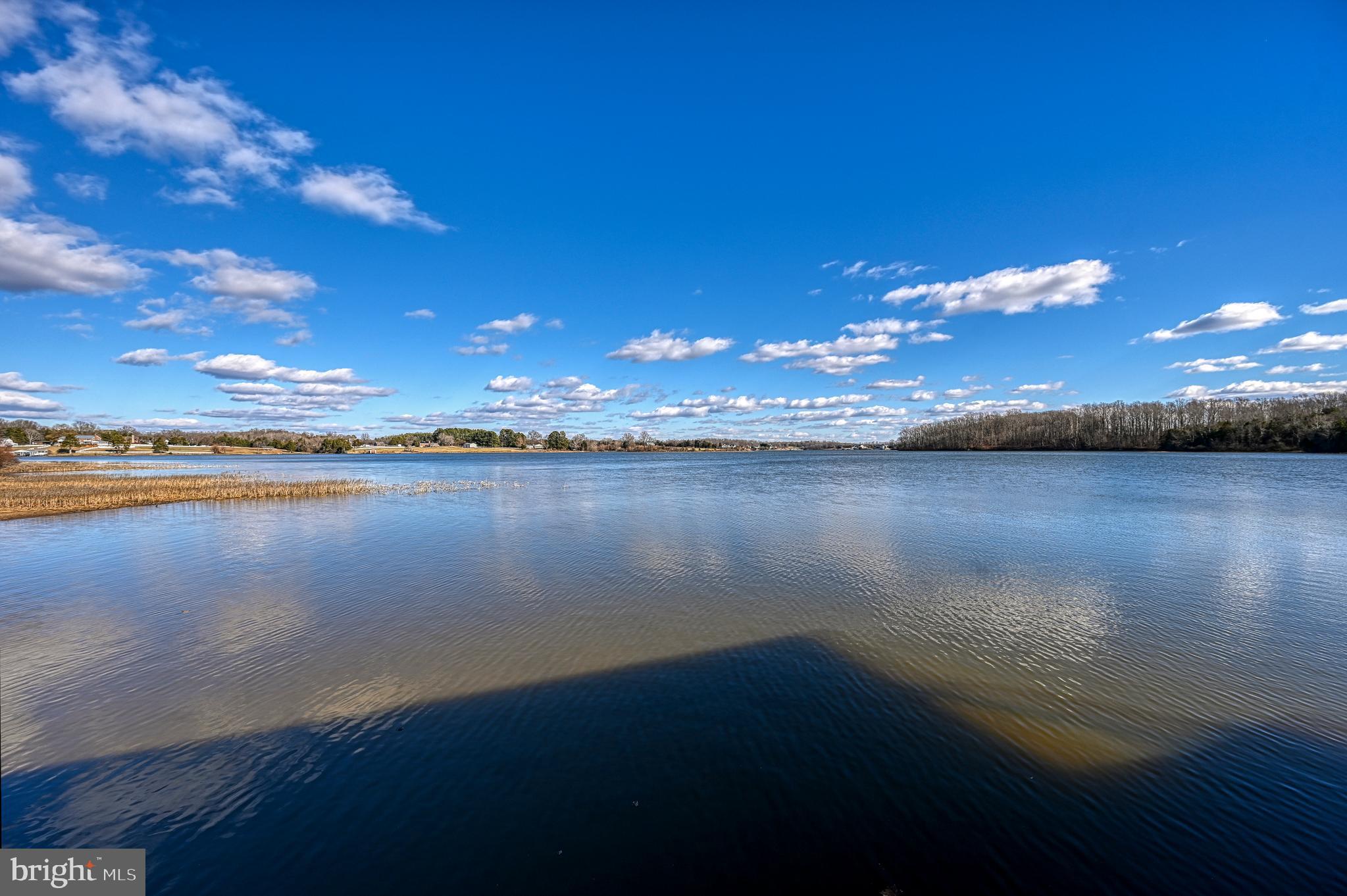 THALIA SHORES - Residential