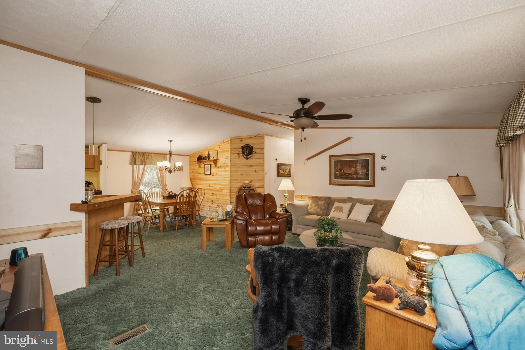 OLD MORGANTOWN - Residential