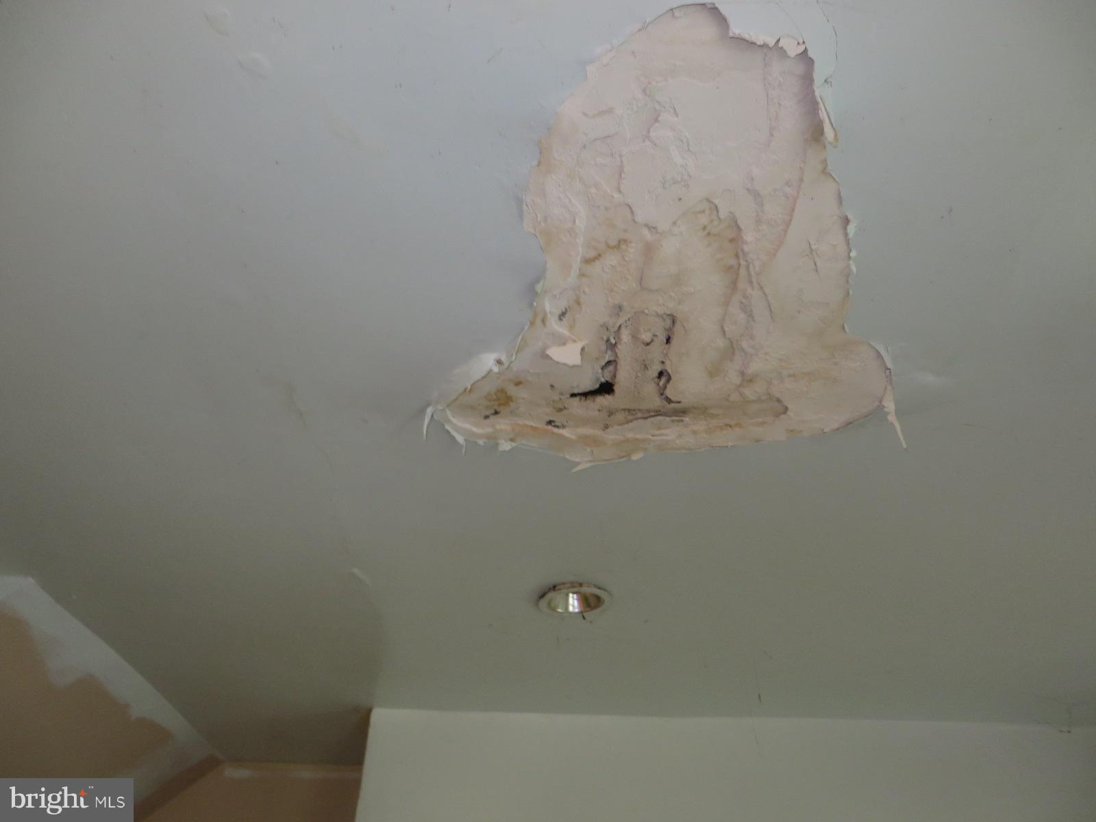 FOREST HEIGHTS - Residential