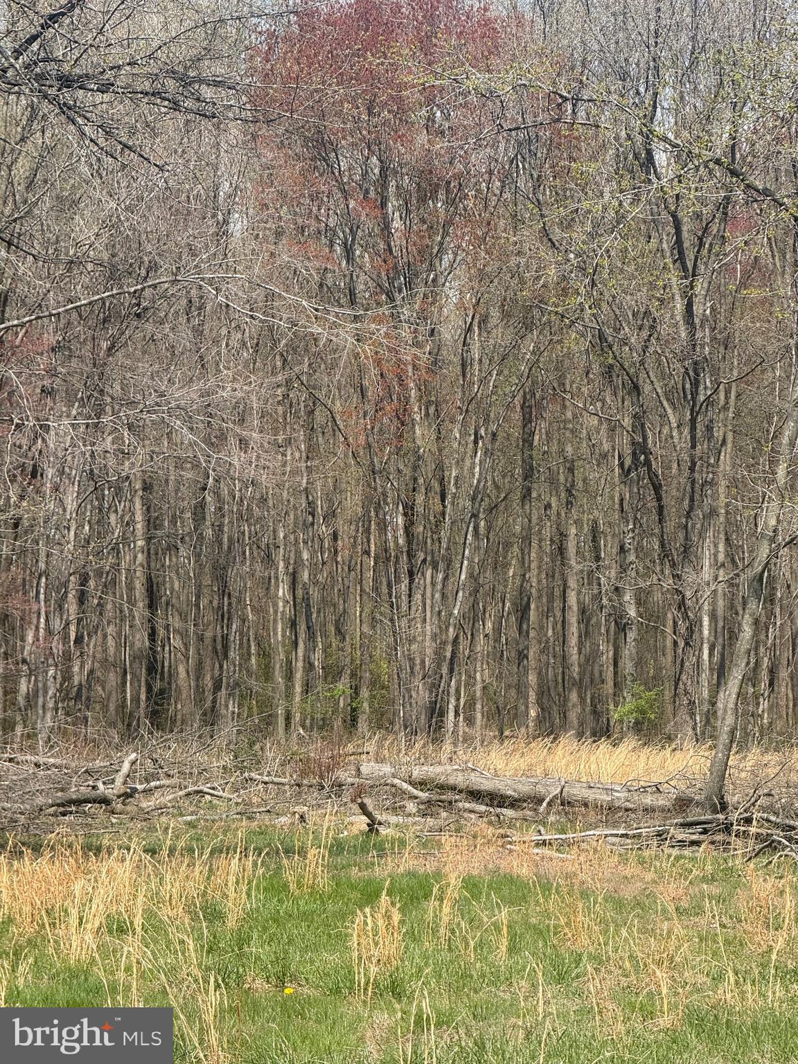 BARCLAY CUTOFF ROAD PARCEL 132