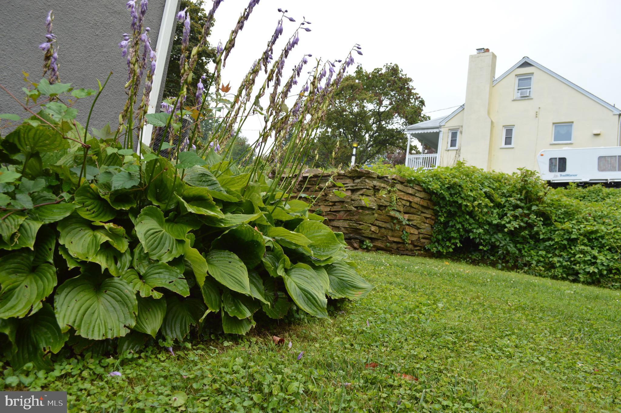 CARNEY - Residential